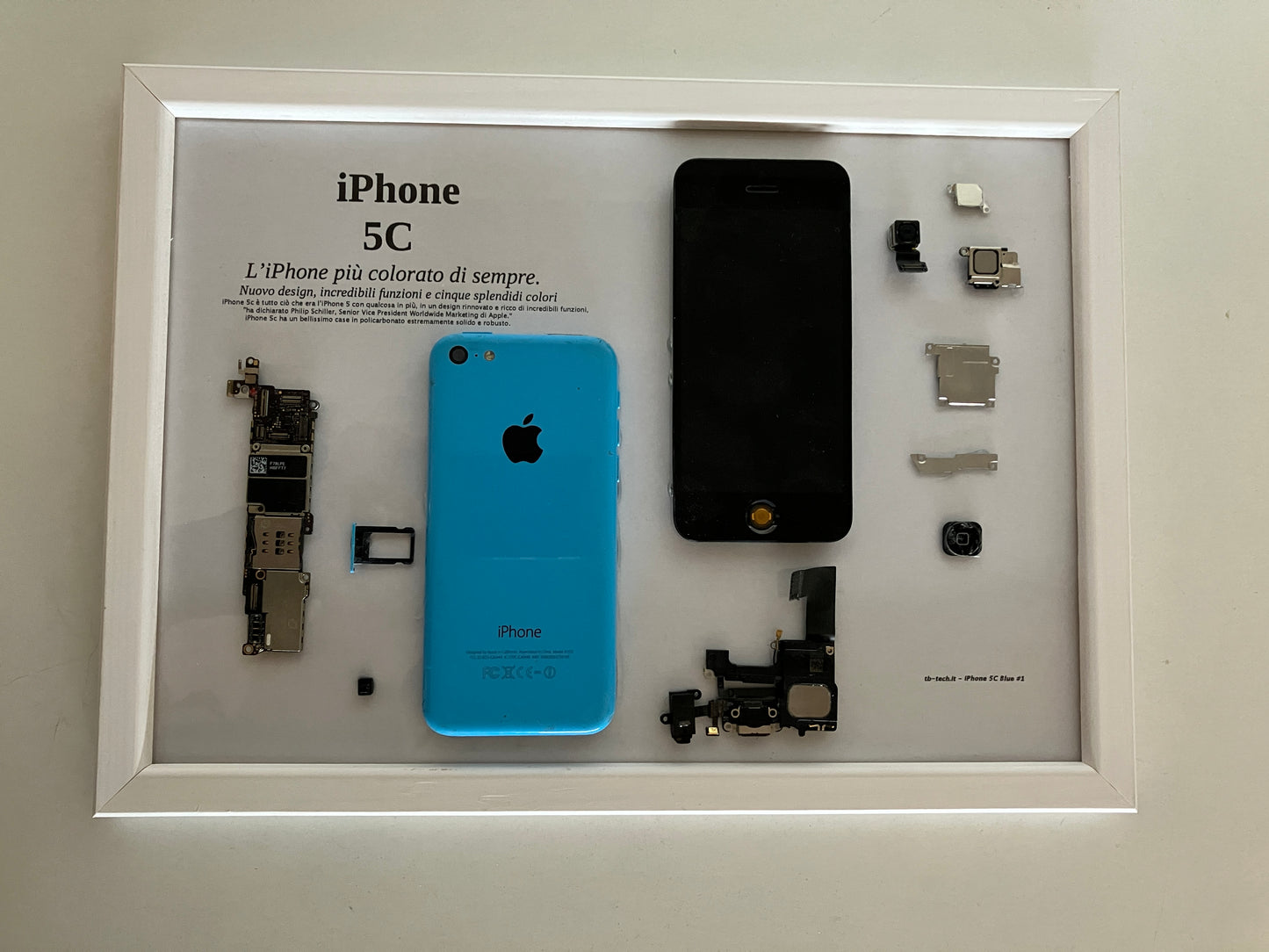 iPhone 5C Blue A1532 Disassemblato e Incorniciato Teardown - PARTIAL