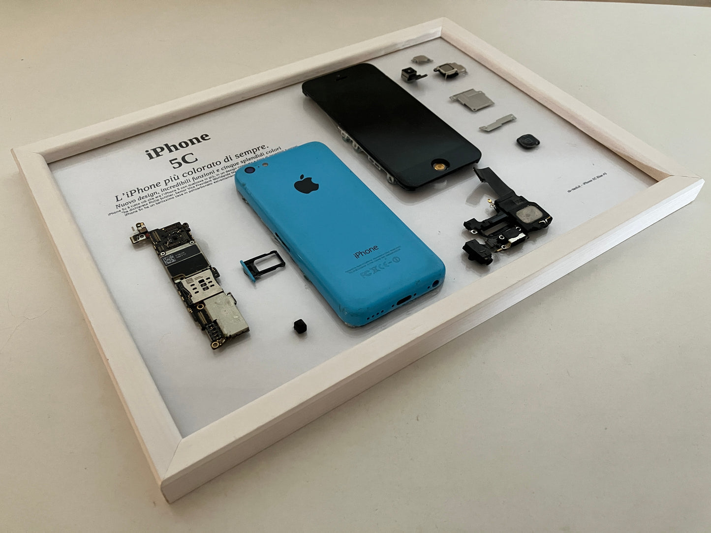 iPhone 5C Blue A1532 Disassemblato e Incorniciato Teardown - PARTIAL