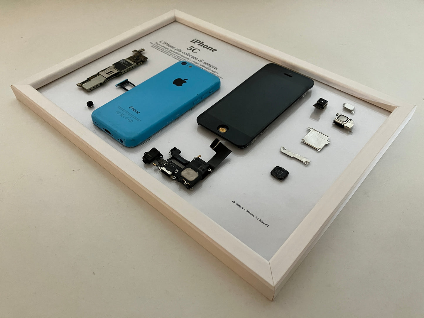 iPhone 5C Blue A1532 Disassemblato e Incorniciato Teardown - PARTIAL