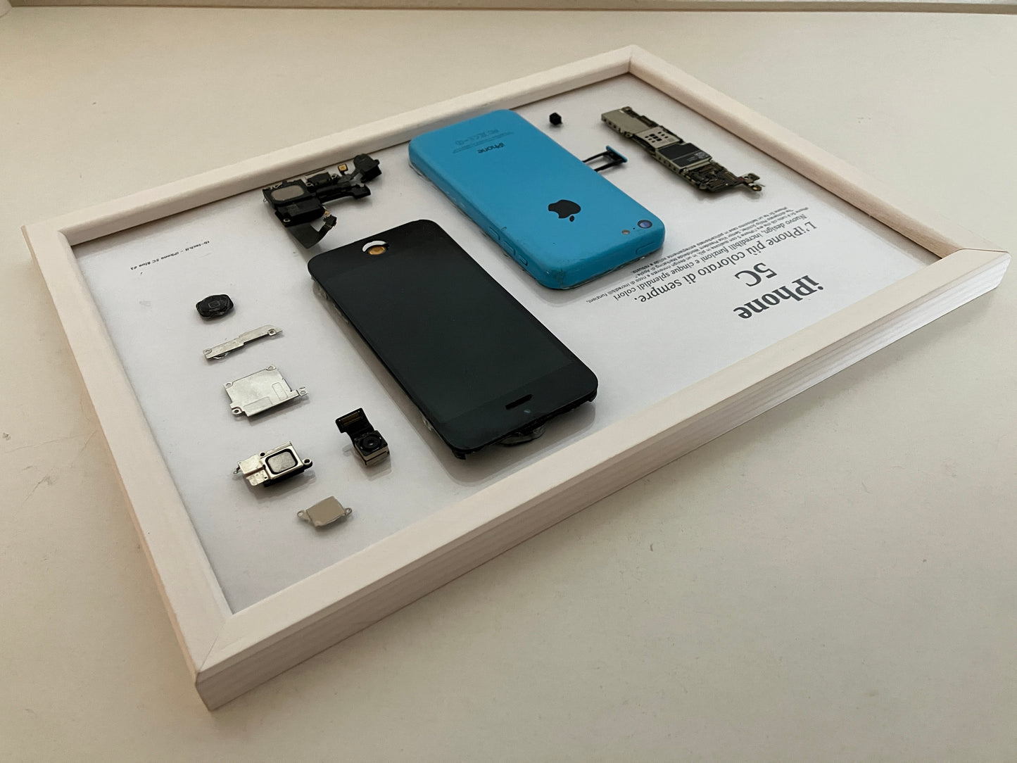 iPhone 5C Blue A1532 Disassemblato e Incorniciato Teardown - PARTIAL