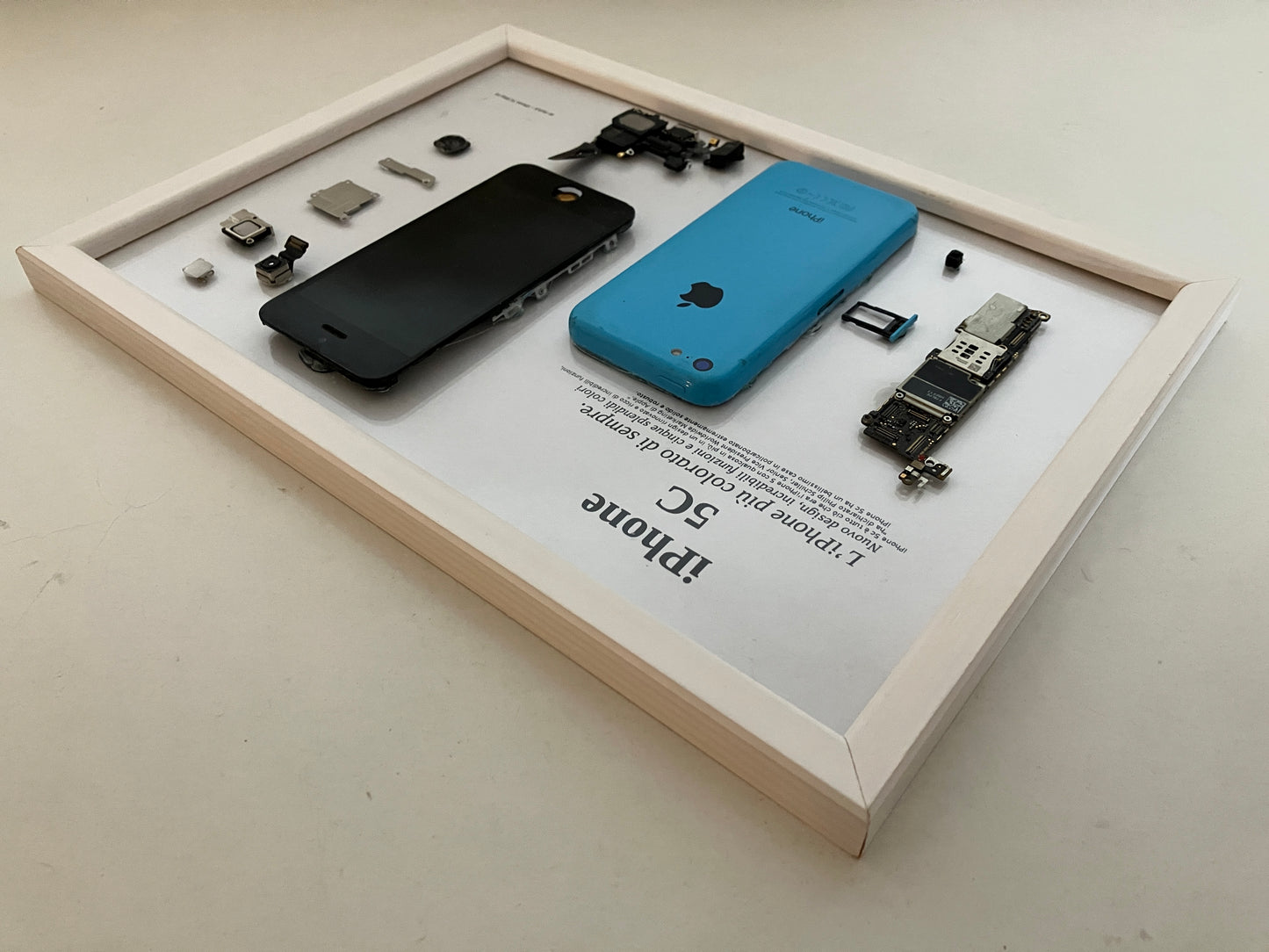 iPhone 5C Blue A1532 Disassemblato e Incorniciato Teardown - PARTIAL