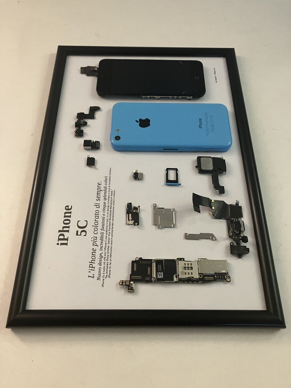 Apple iPhone 5C Blue A1507 Disassemblato e Incorniciato Teardown - ESSENTIAL