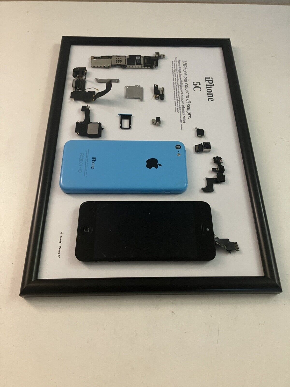 Apple iPhone 5C Blue A1507 Disassemblato e Incorniciato Teardown - ESSENTIAL