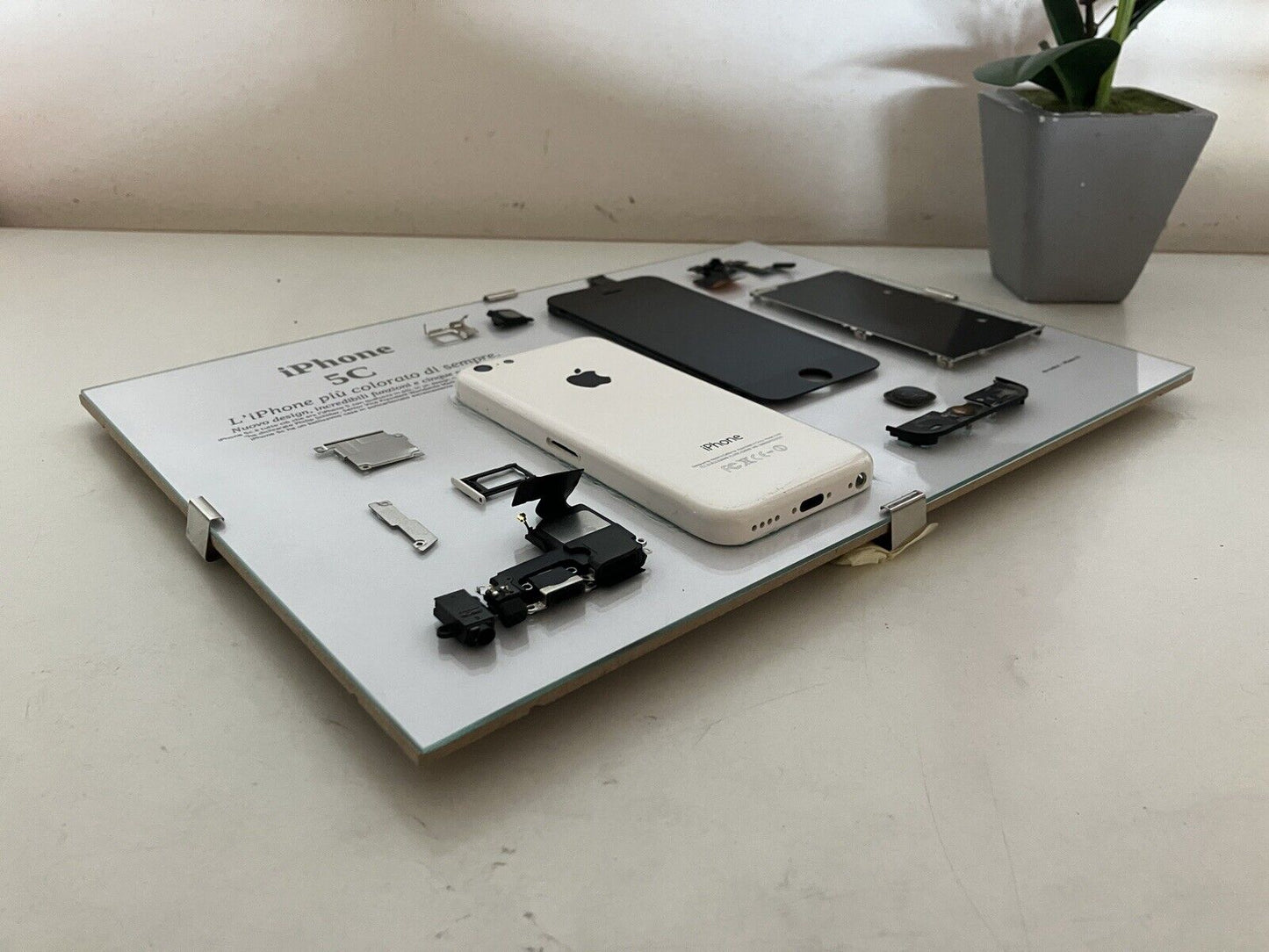 iPhone 5C White A1507 Disassemblato e Incorniciato Teardown