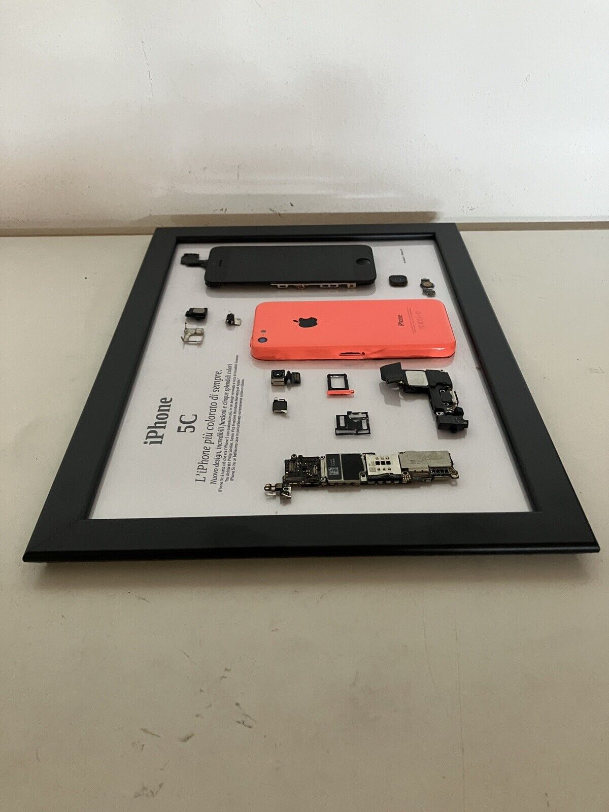 iPhone 5C Rosa A1456 Disassemblato e Incorniciato