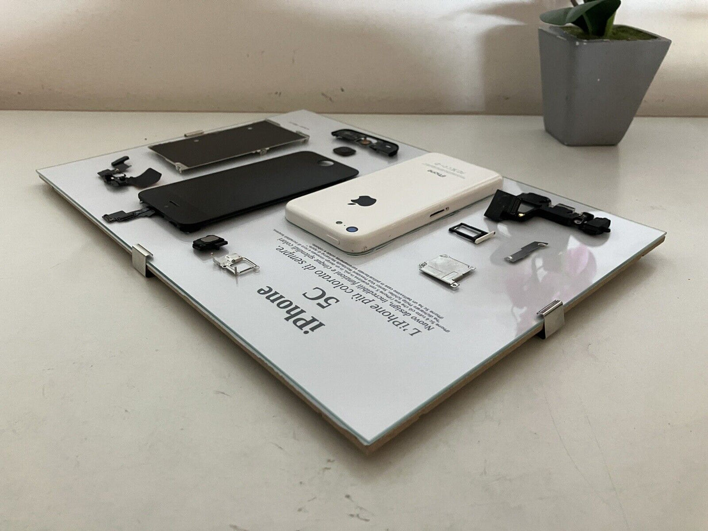 iPhone 5C White A1507 Disassemblato e Incorniciato Teardown