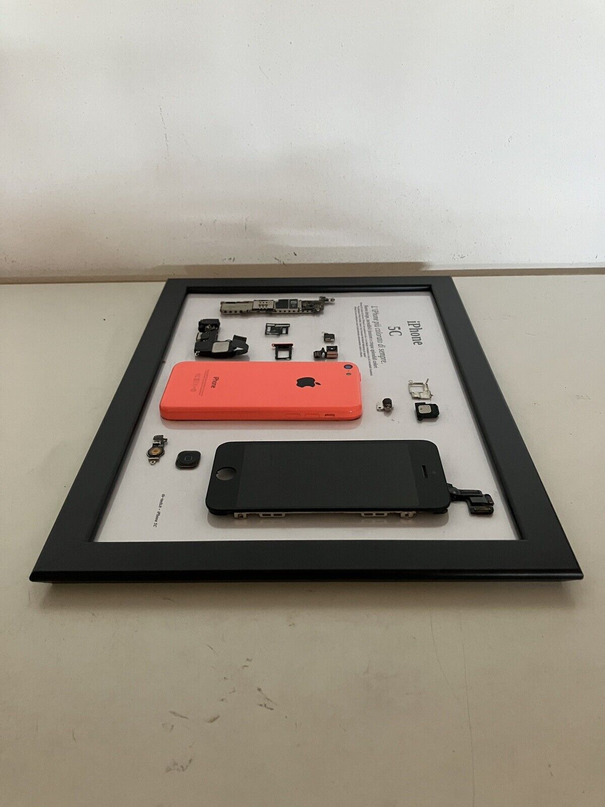 iPhone 5C Rosa A1456 Disassemblato e Incorniciato