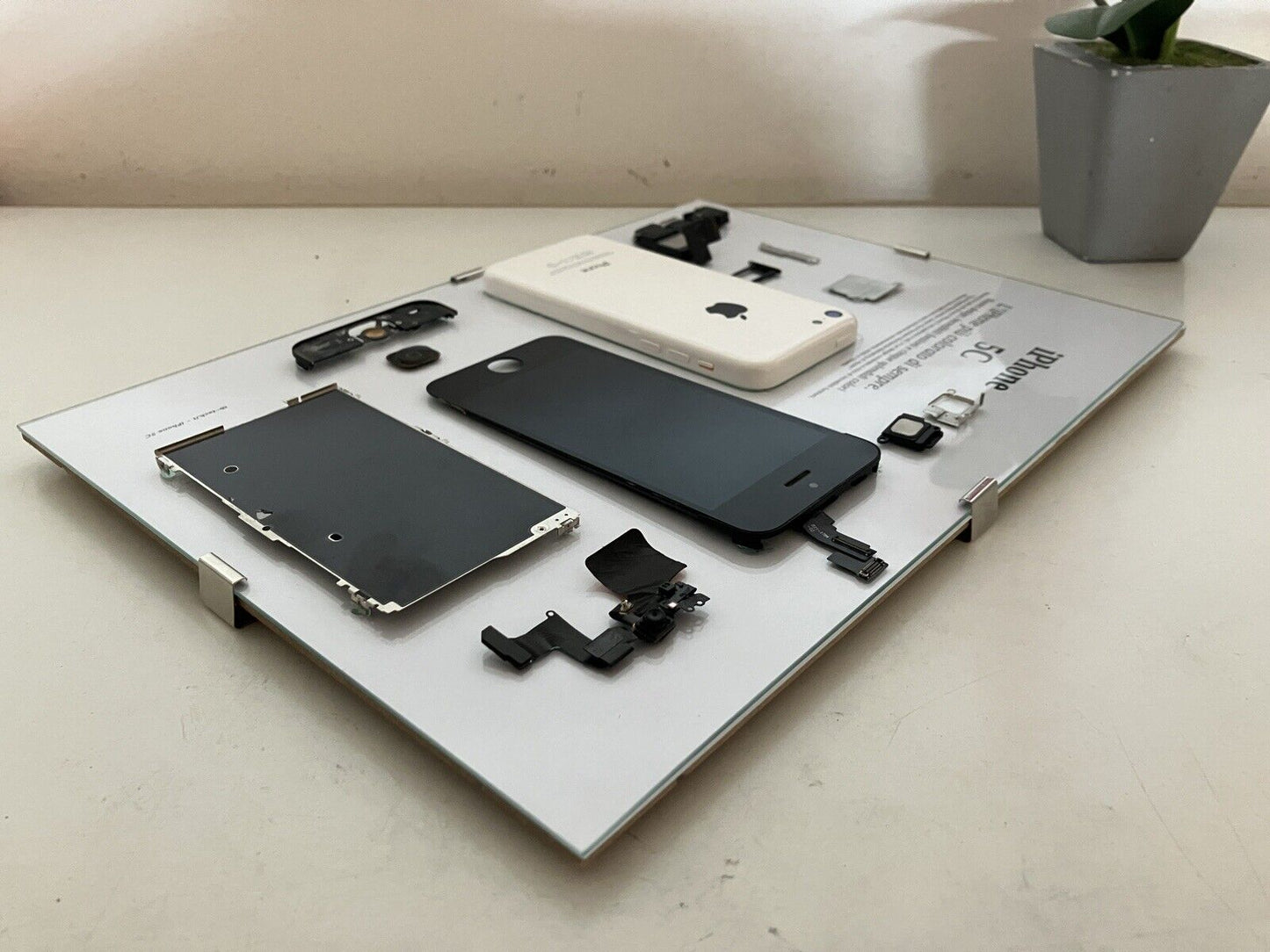 iPhone 5C White A1507 Disassemblato e Incorniciato Teardown