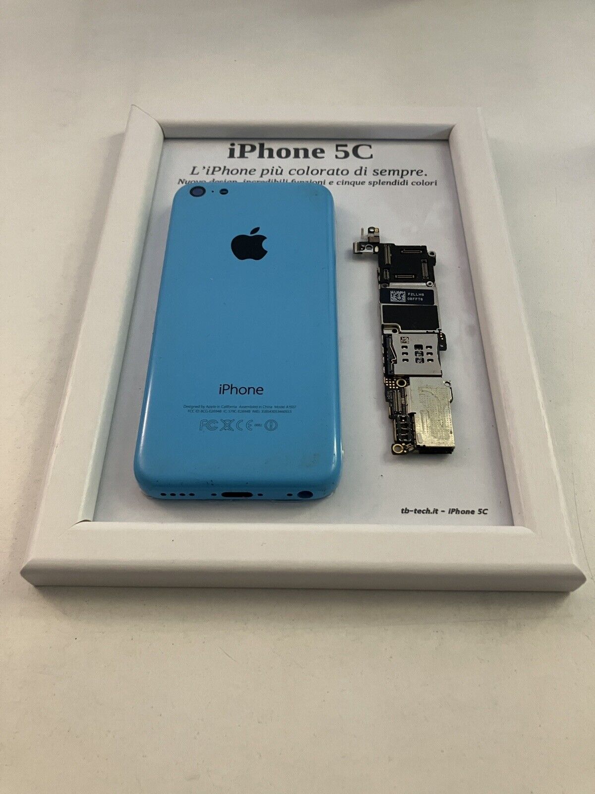 iPhone 5C Blue A1507 Disassemblato e Incorniciato Teardown - ESSENTIAL