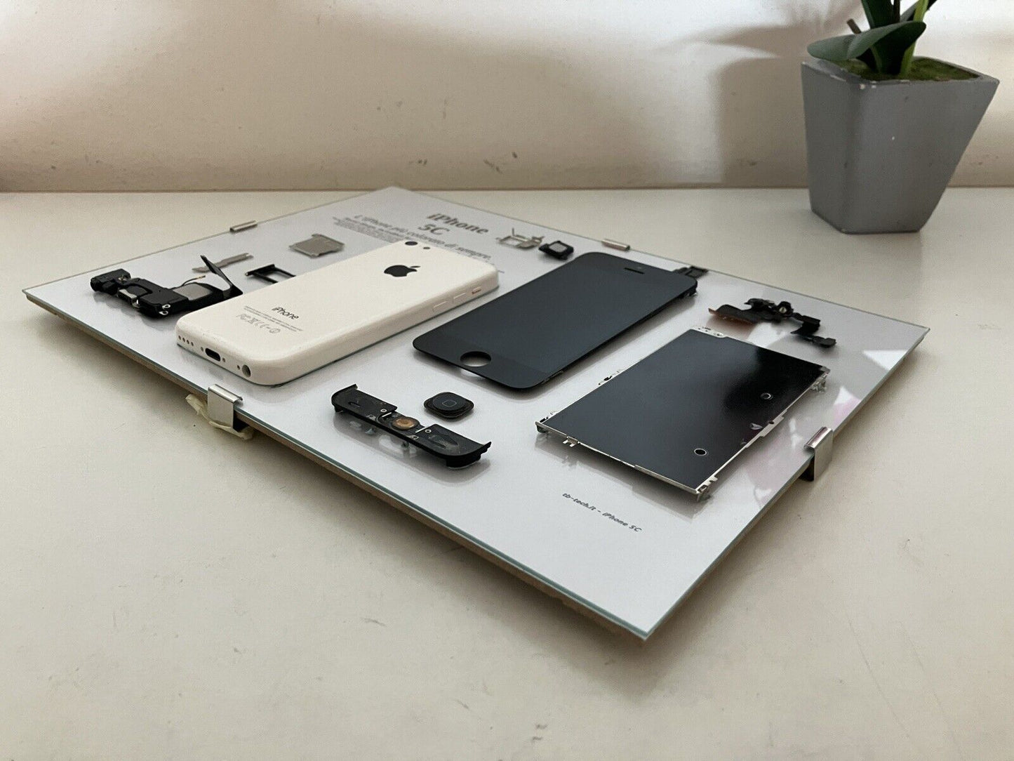 iPhone 5C White A1507 Disassemblato e Incorniciato Teardown