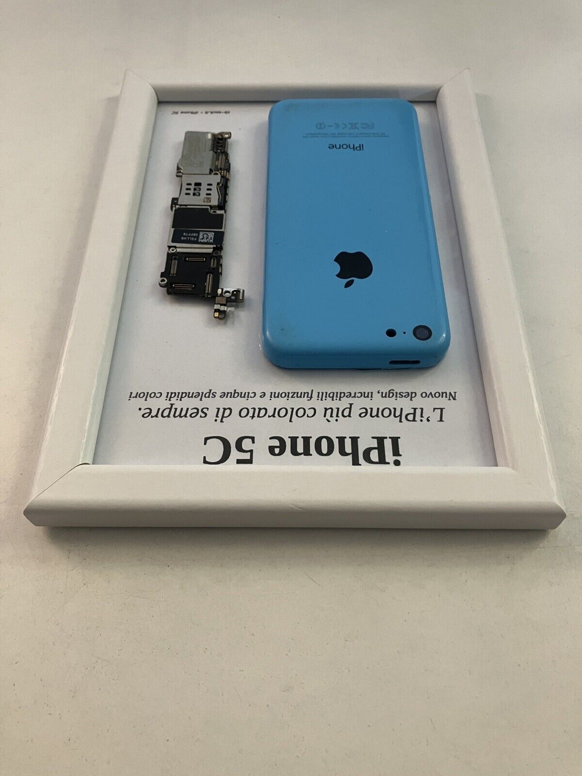 iPhone 5C Blue A1507 Disassemblato e Incorniciato Teardown - ESSENTIAL