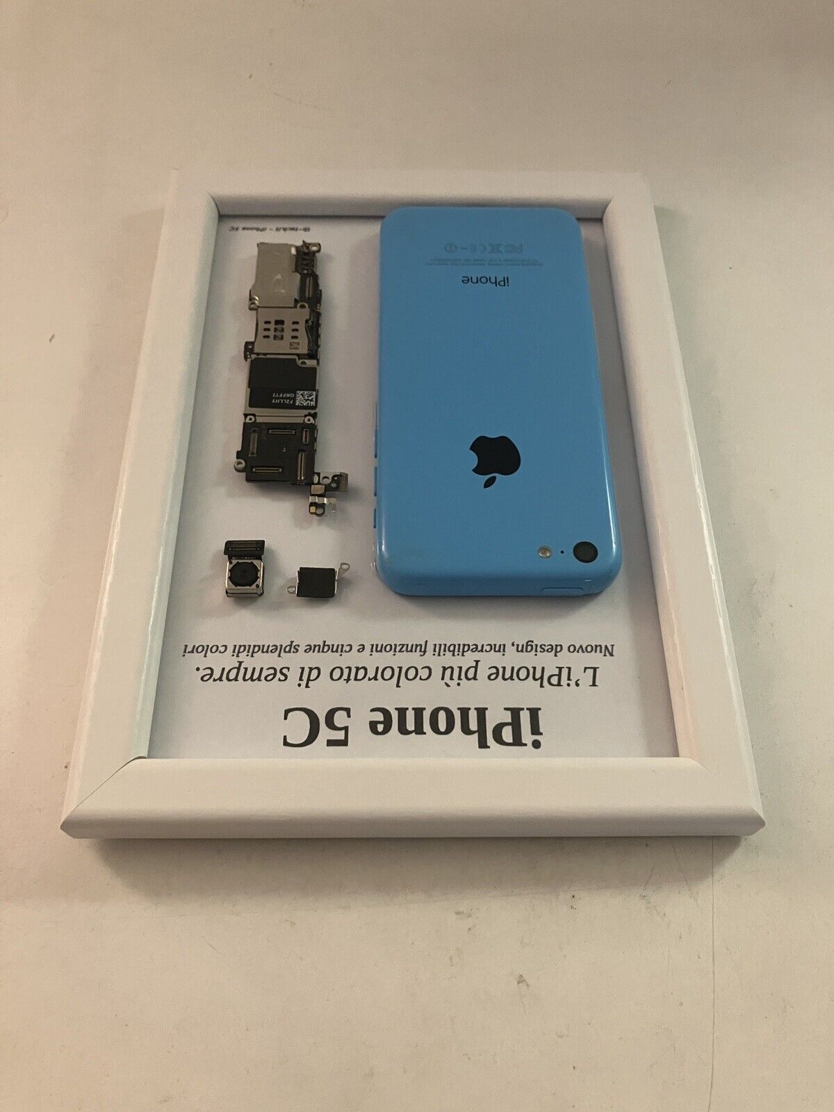 Apple iPhone 5C Blue A1507 Disassemblato e Incorniciato