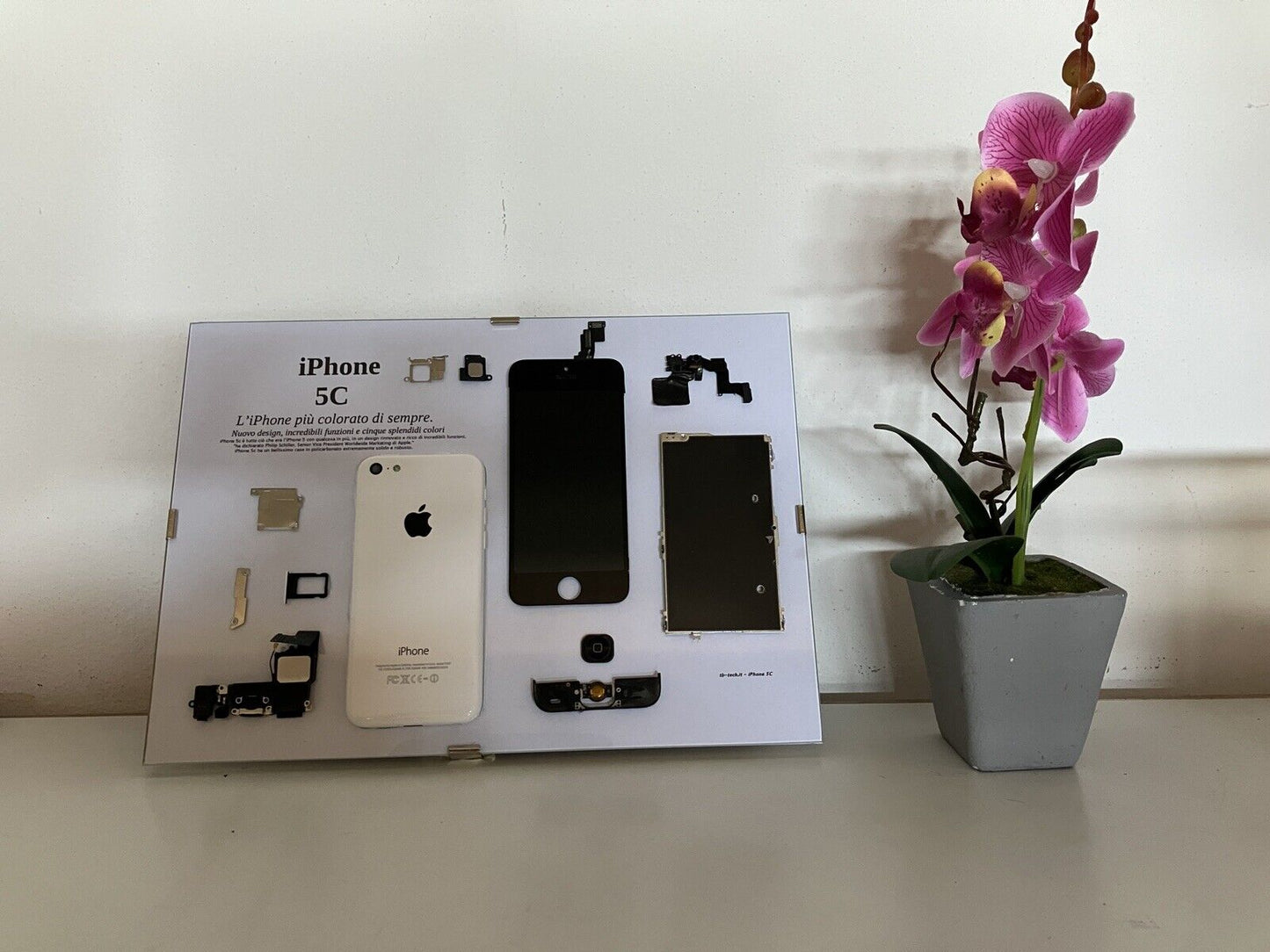 iPhone 5C White A1507 Disassemblato e Incorniciato Teardown