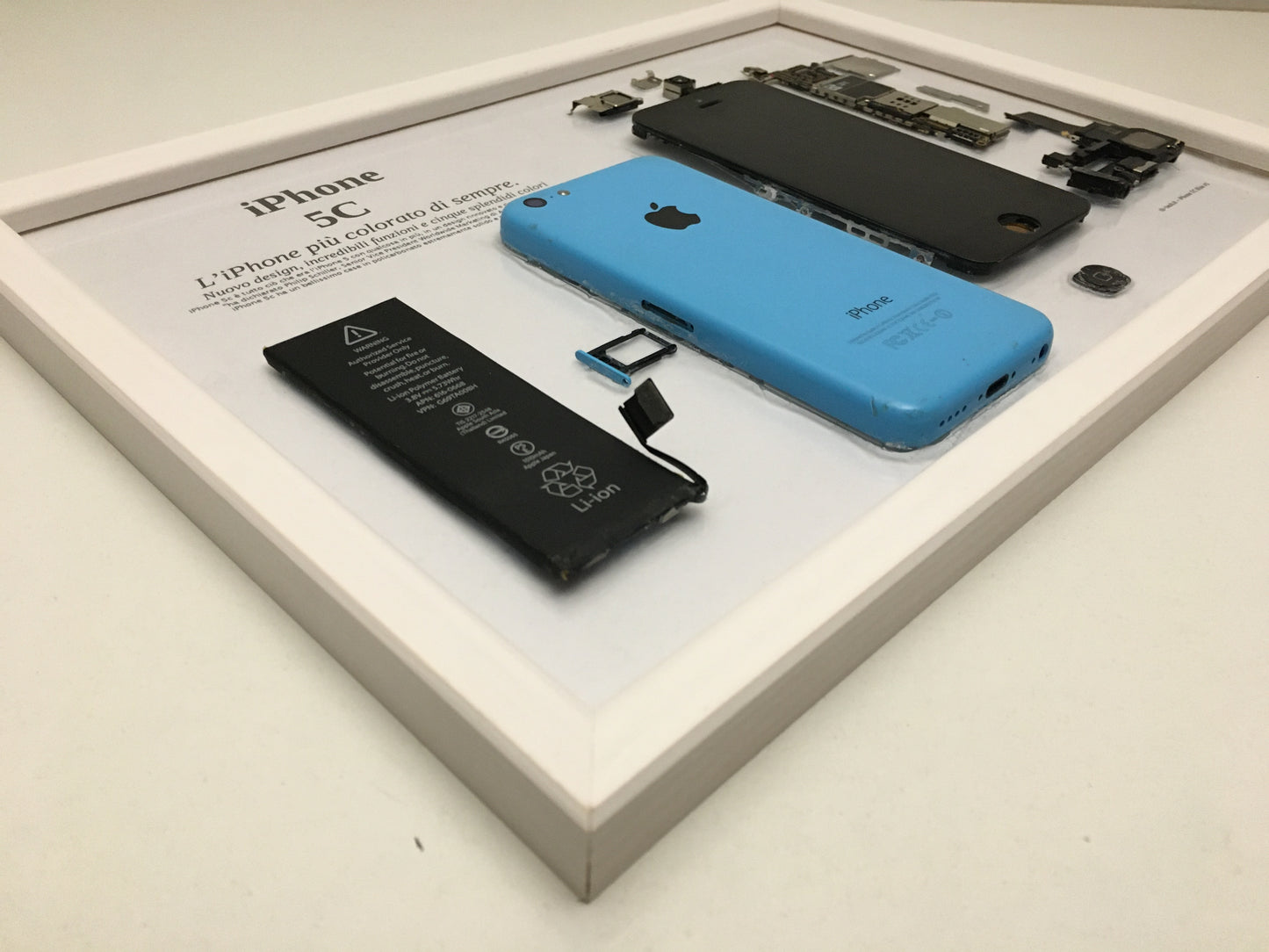 iPhone 5C Blue A1532 Disassemblato e Incorniciato Teardown - BASIC