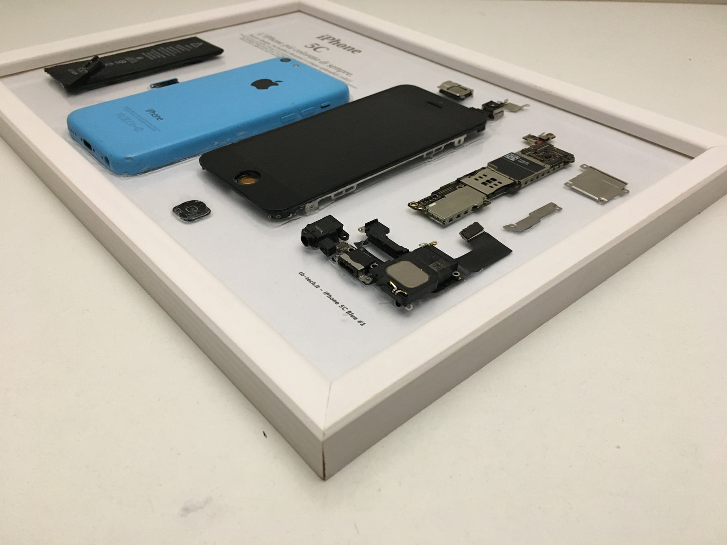 iPhone 5C Blue A1532 Disassemblato e Incorniciato Teardown - BASIC