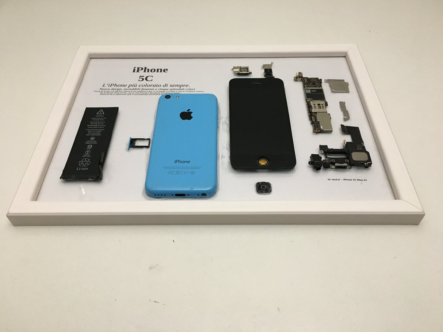 iPhone 5C Blue A1532 Disassemblato e Incorniciato Teardown - BASIC