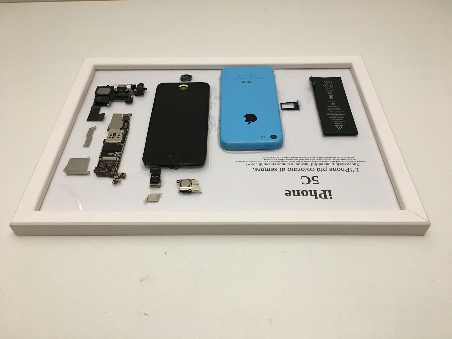 iPhone 5C Blue A1532 Disassemblato e Incorniciato Teardown - BASIC