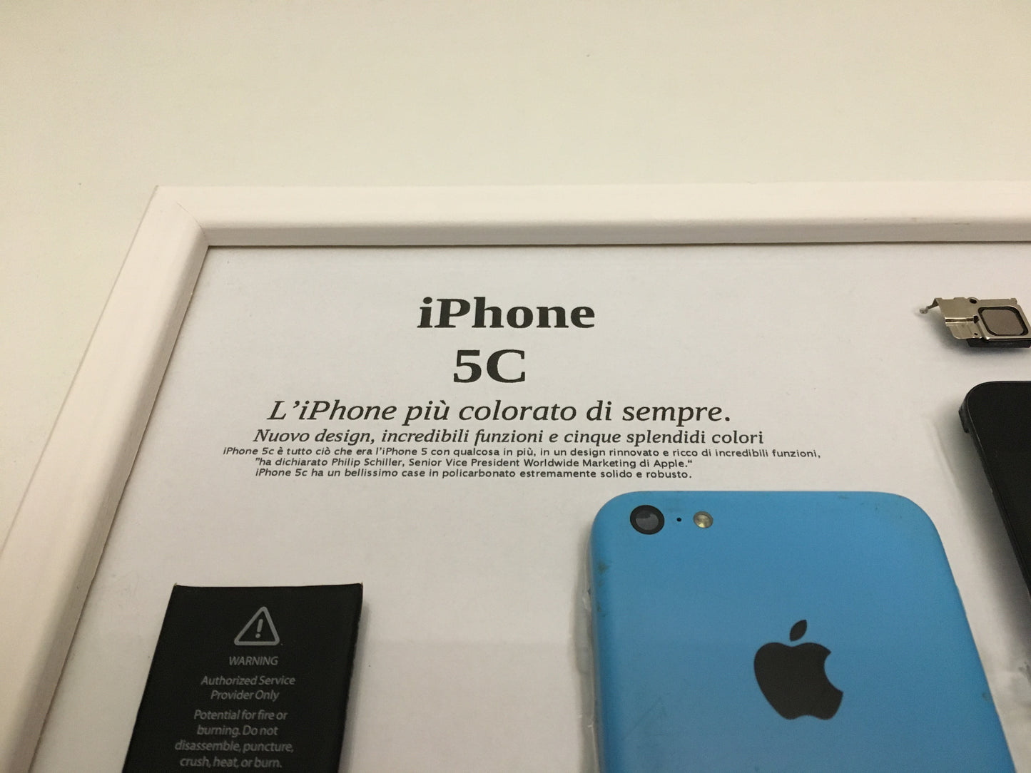 iPhone 5C Blue A1532 Disassemblato e Incorniciato Teardown - BASIC