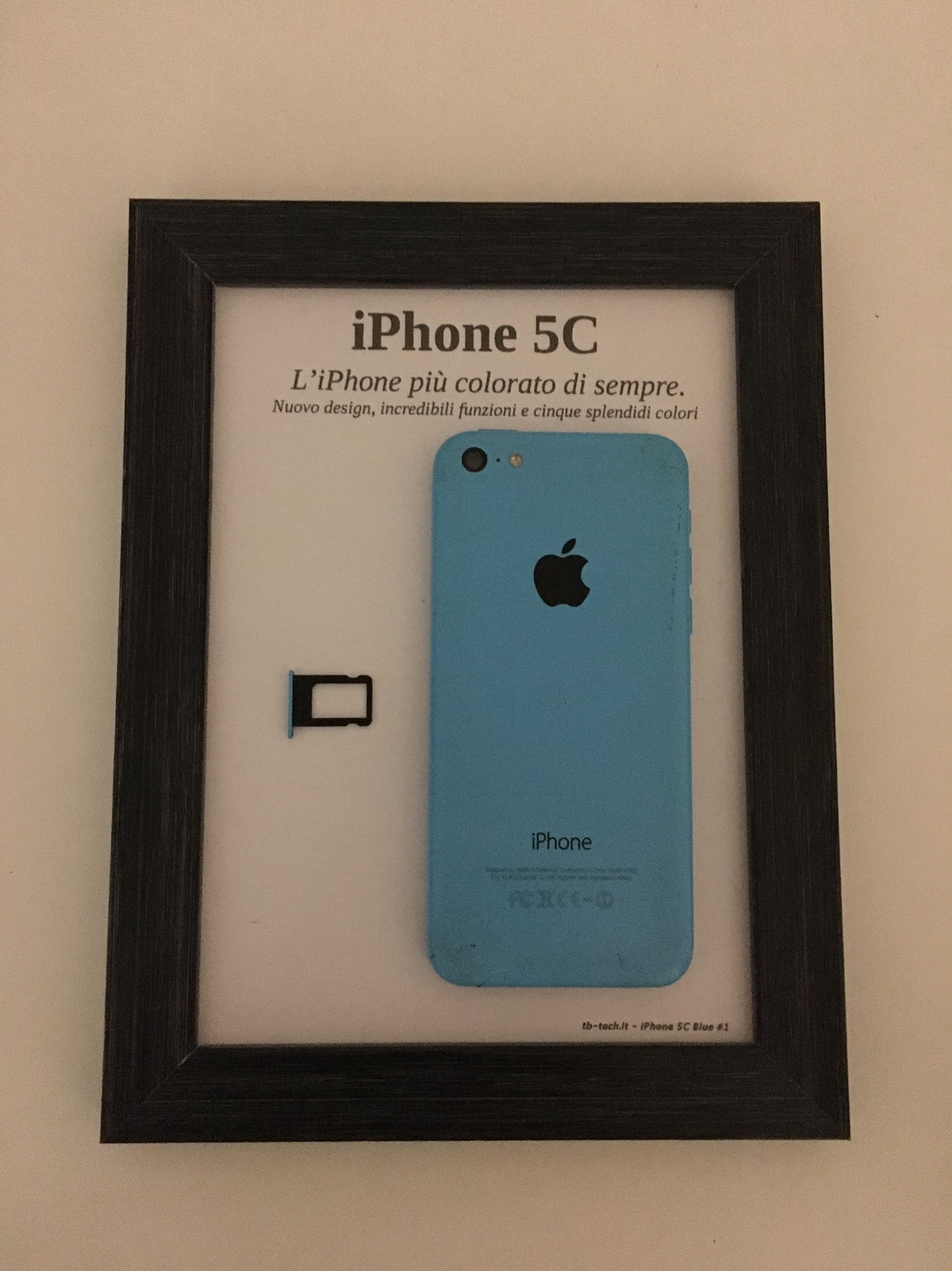 iPhone 5C Blue A1507 Disassemblato e Incorniciato Teardown - ESSENTIAL