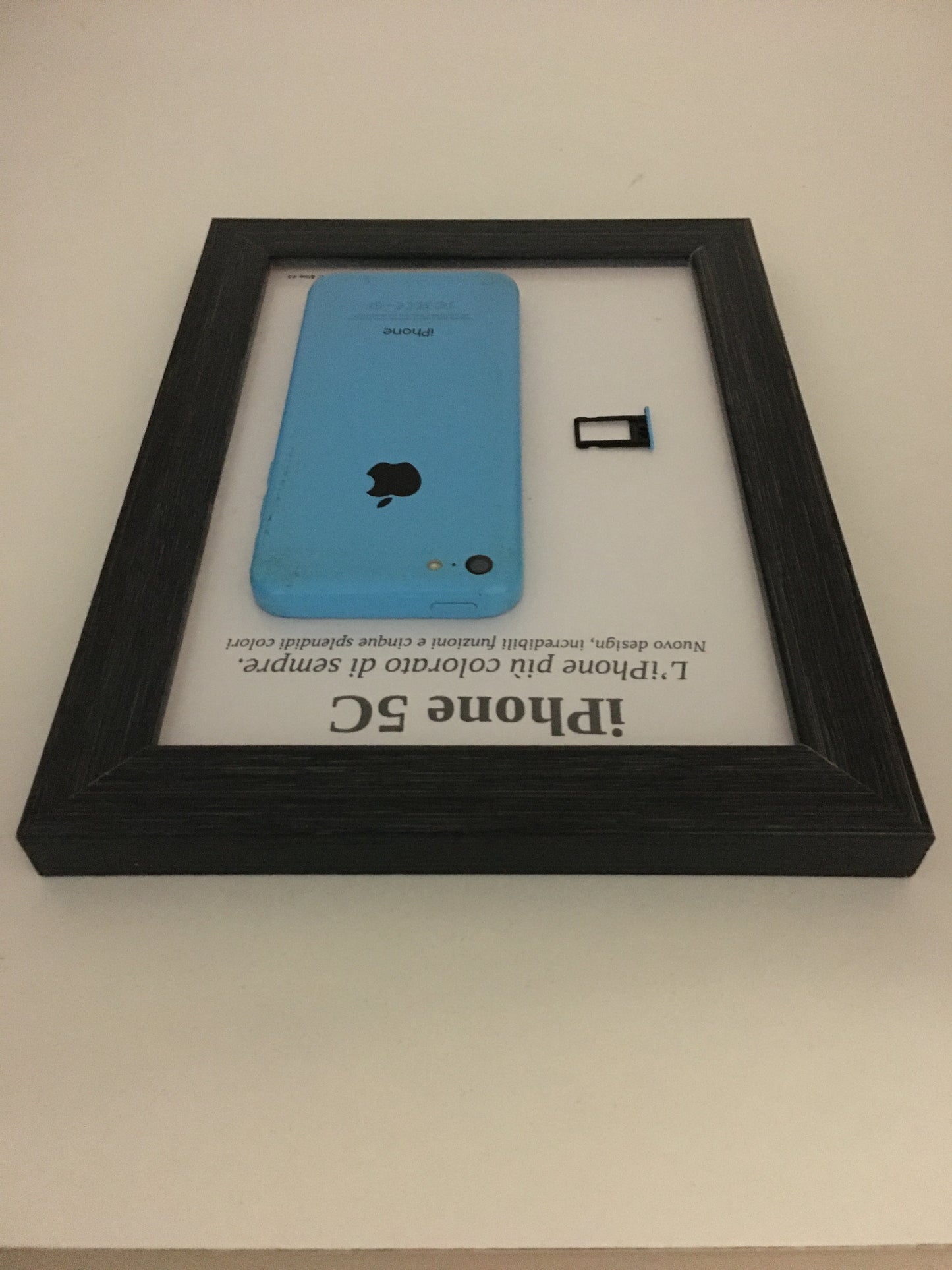 iPhone 5C Blue A1507 Disassemblato e Incorniciato Teardown - ESSENTIAL