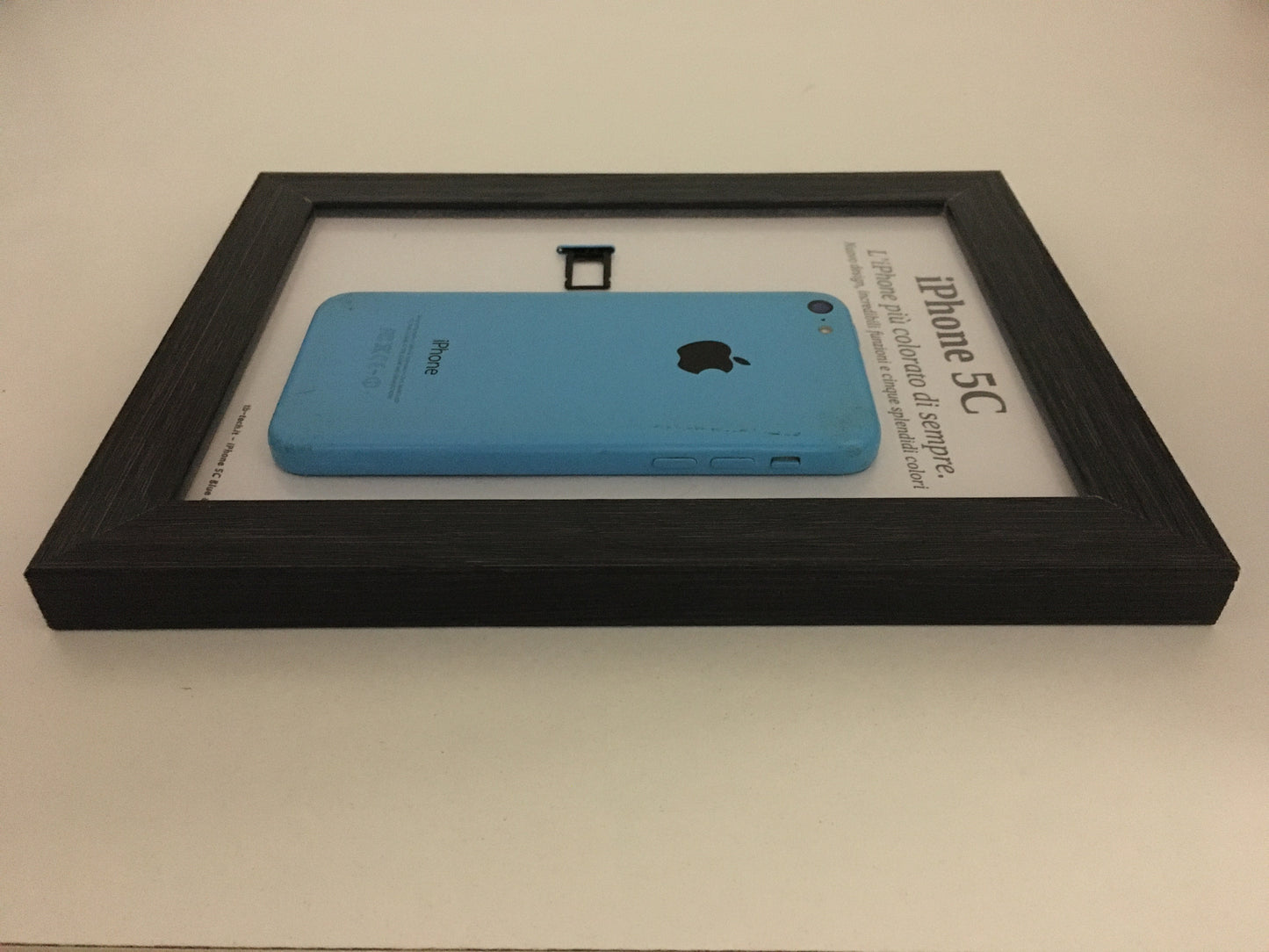 iPhone 5C Blue A1507 Disassemblato e Incorniciato Teardown - ESSENTIAL