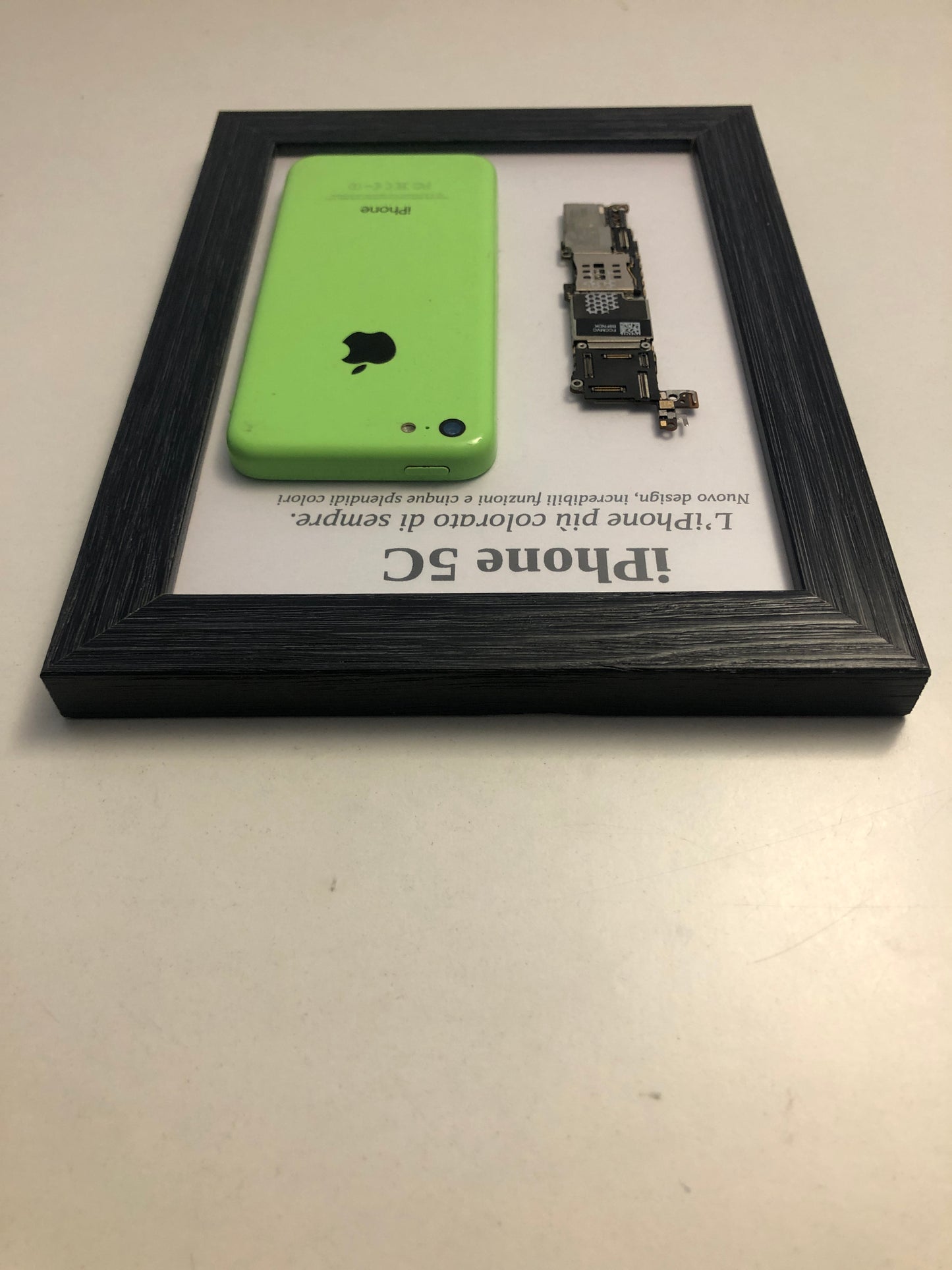 iPhone 5C Green A1532 Disassemblato e Incorniciato Teardown - ESSENTIAL