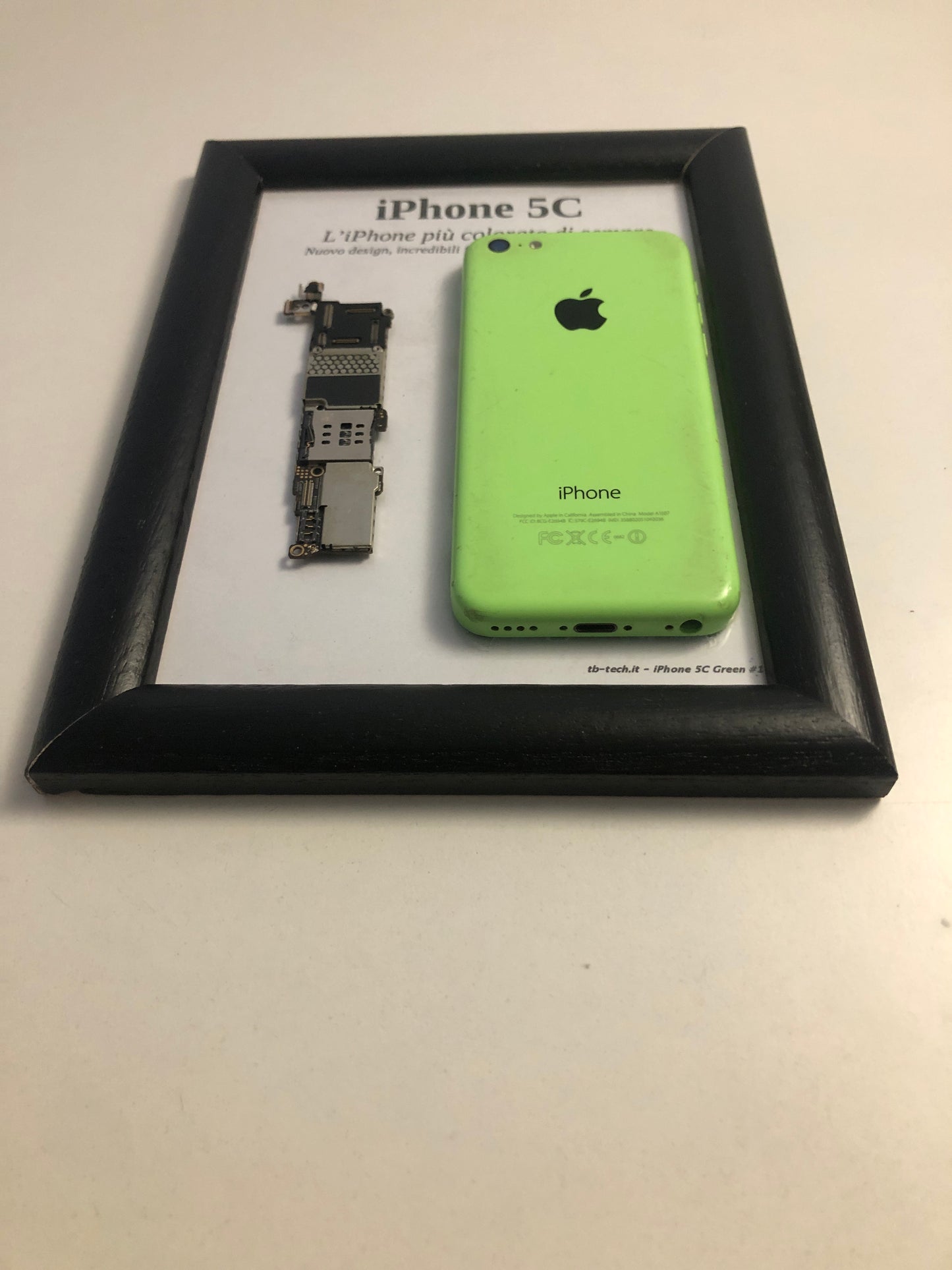 iPhone 5C Green A1507 Disassemblato e Incorniciato Teardown - ESSENTIAL