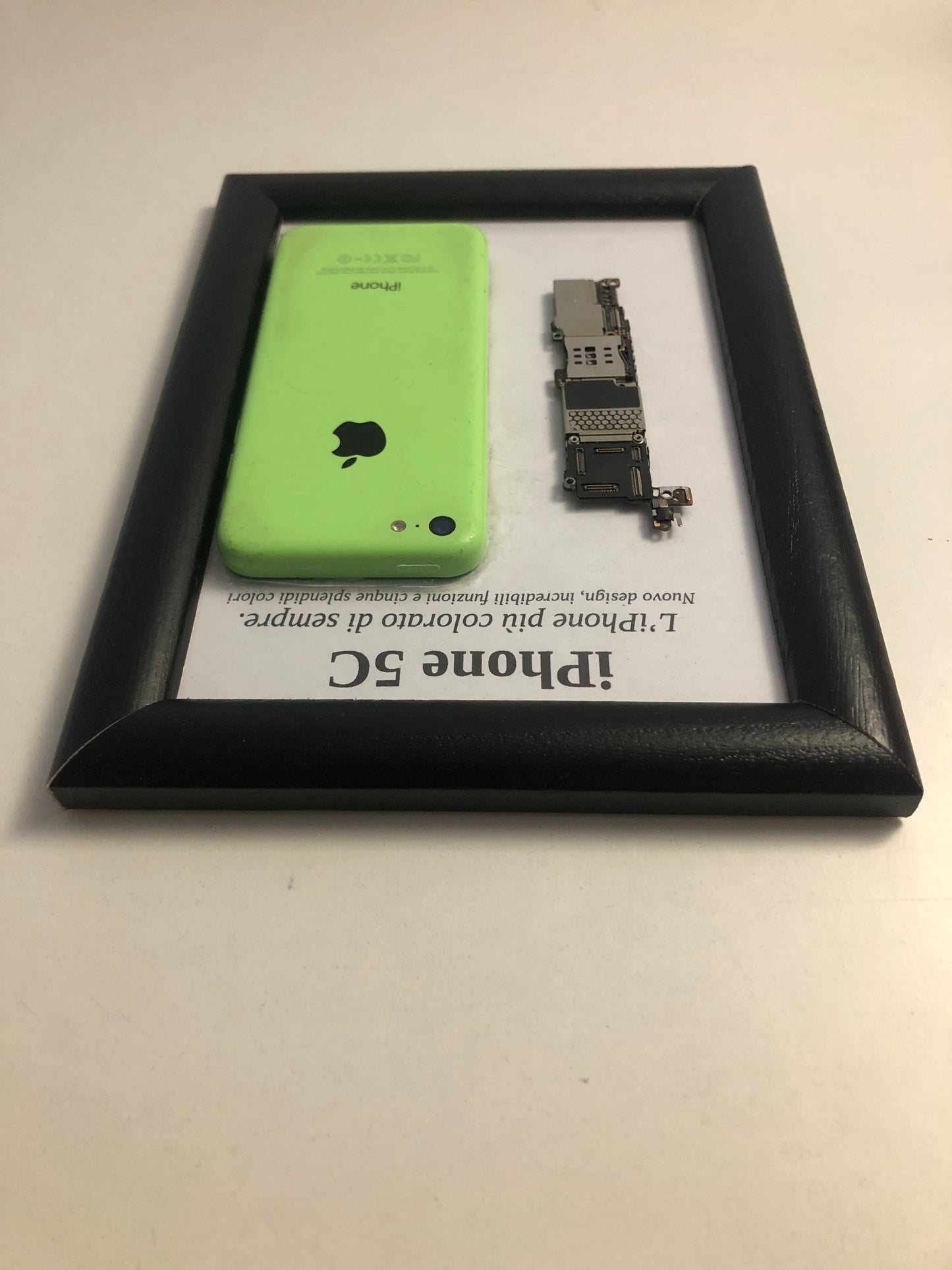 iPhone 5C Green A1507 Disassemblato e Incorniciato Teardown - ESSENTIAL