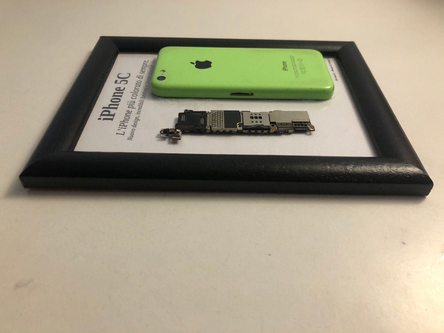 iPhone 5C Green A1507 Disassemblato e Incorniciato Teardown - ESSENTIAL