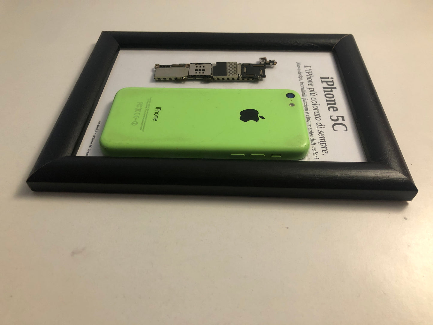 iPhone 5C Green A1507 Disassemblato e Incorniciato Teardown - ESSENTIAL