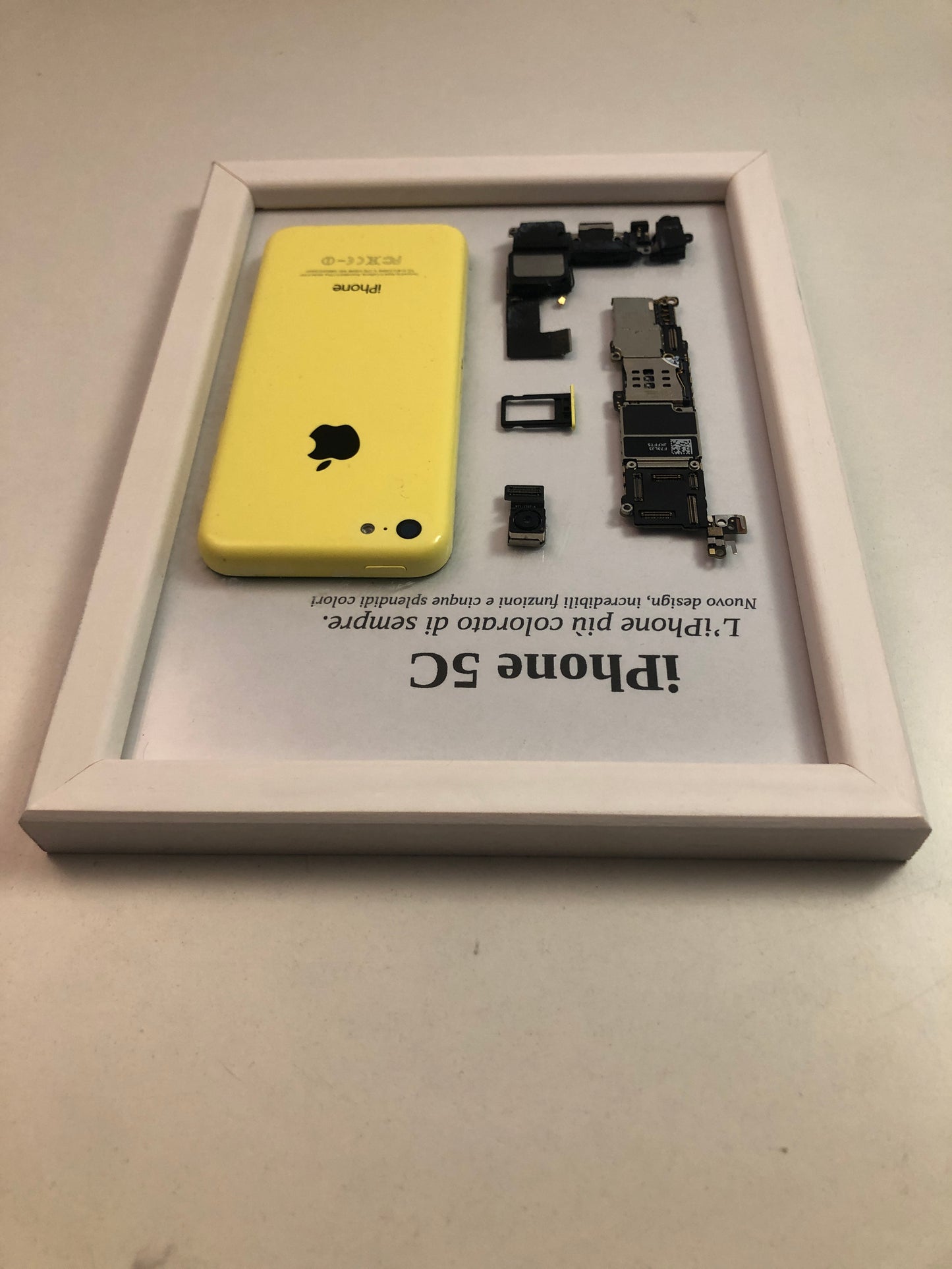 iPhone 5C Yellow A1507 Disassemblato e Incorniciato Teardown - ESSENTIAL-BASE