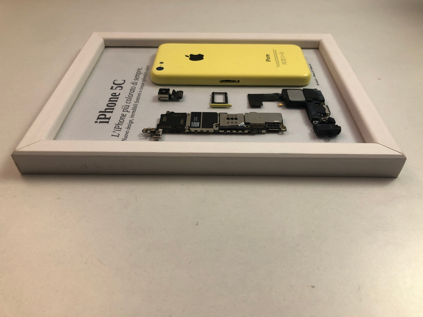 iPhone 5C Yellow A1507 Disassemblato e Incorniciato Teardown - ESSENTIAL-BASE